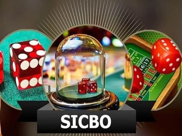 SicBo 8DAY: Bí Kíp Tham Gia Đỉnh Cao Cho Người Mới Bắt Đầu
